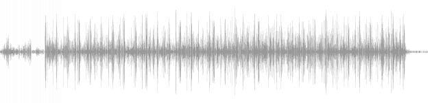 audio waveform