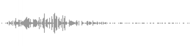 audio waveform