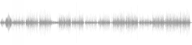 audio waveform