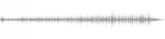 audio waveform