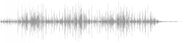 audio waveform