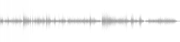 audio waveform