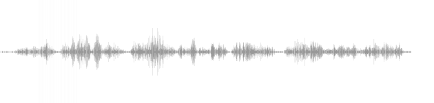 audio waveform