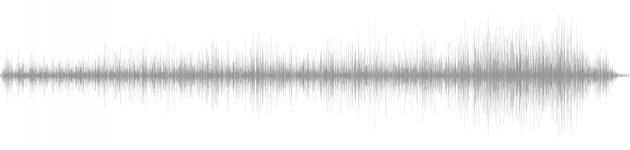 audio waveform