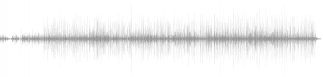 audio waveform