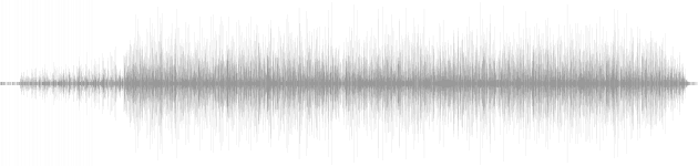 audio waveform