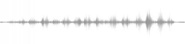 audio waveform