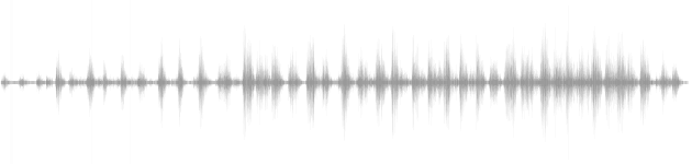 audio waveform