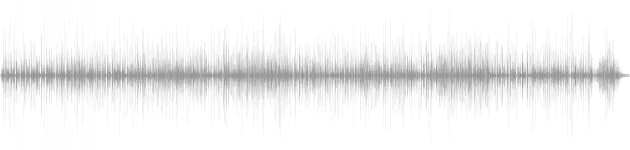 audio waveform