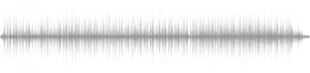 audio waveform