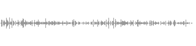 audio waveform