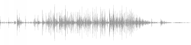 audio waveform
