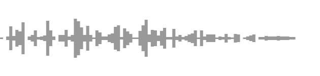 audio waveform