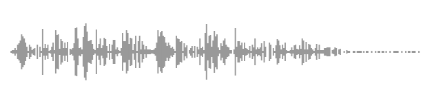audio waveform