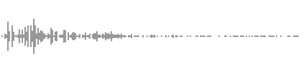 audio waveform