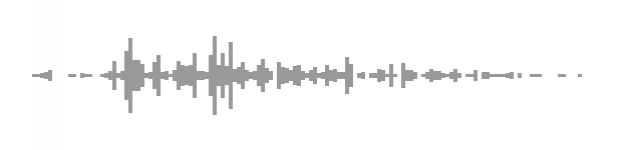 audio waveform