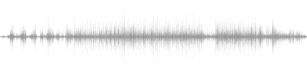 audio waveform