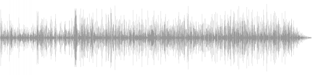 audio waveform