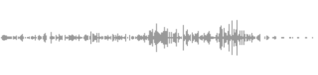 audio waveform