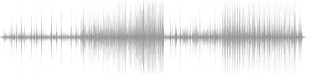 audio waveform