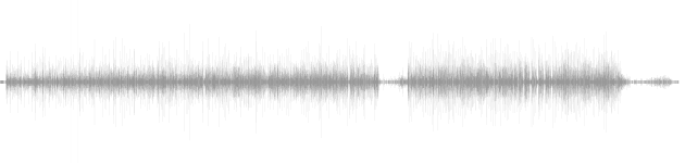 audio waveform
