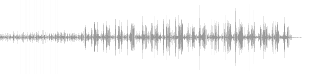audio waveform