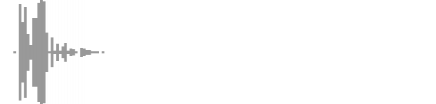 audio waveform
