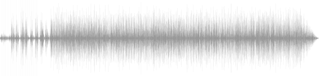 audio waveform